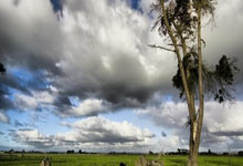 烈火与冰山：德安东尼的火箭战术，一次命运的拷问