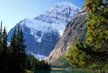 烈火与冰山：德安东尼的火箭战术，一次命运的拷问