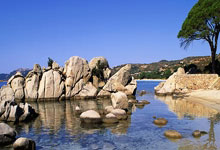 烈火与冰山：德安东尼的火箭战术，一次命运的拷问