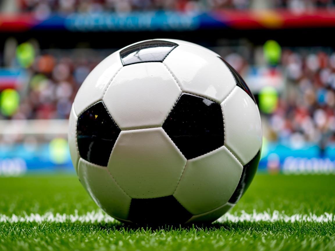 开云体育登录入口-举重世青赛中国女队整体发挥稳定，中国队女子举重冠军  第3张