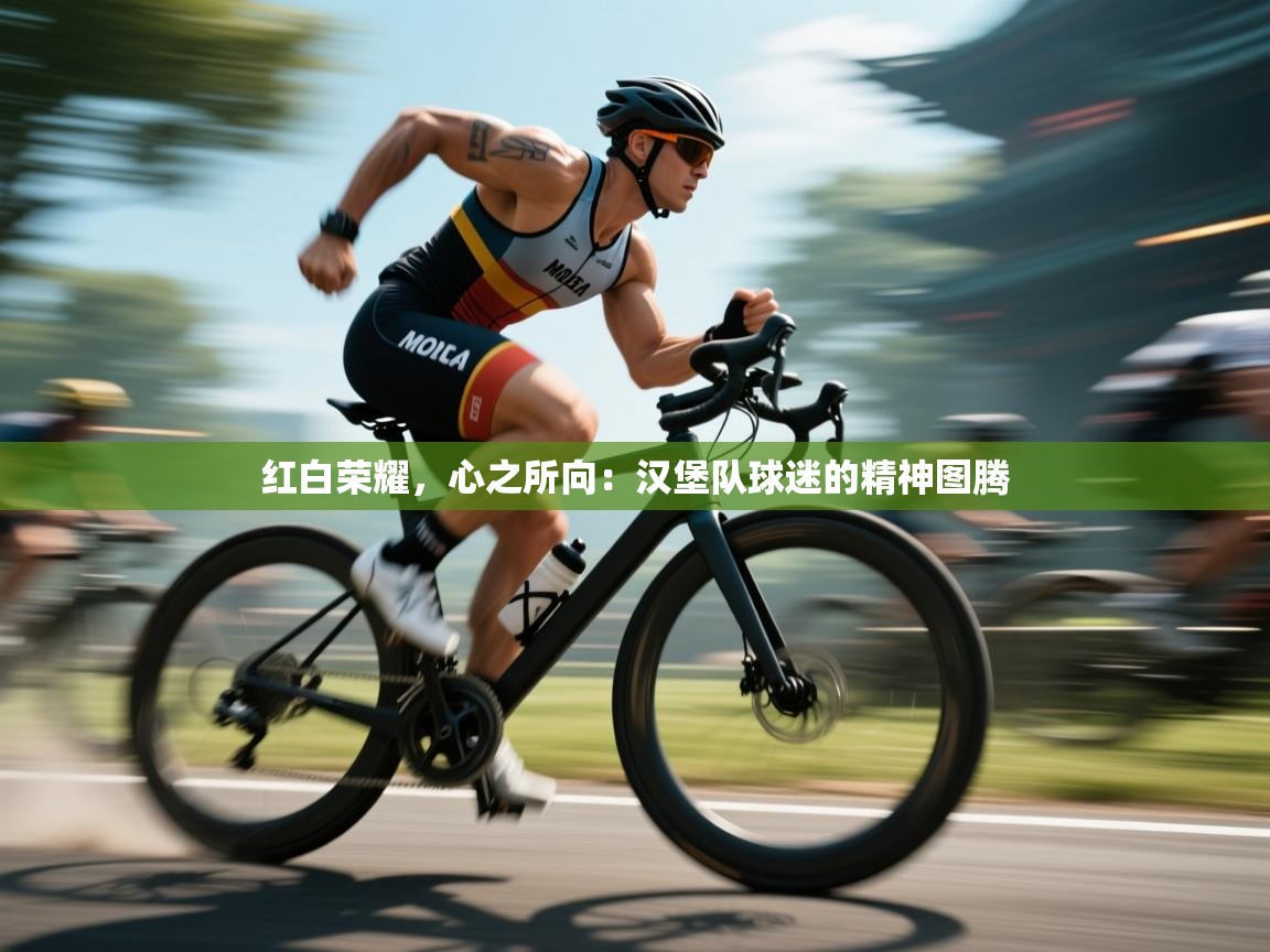 红白荣耀,心之所向:汉堡队球迷的精神图腾 第2张