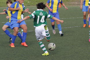 开云体育网站-体育新闻中心发布体育内容原创度智能评估工具，体育新闻可视化  第2张